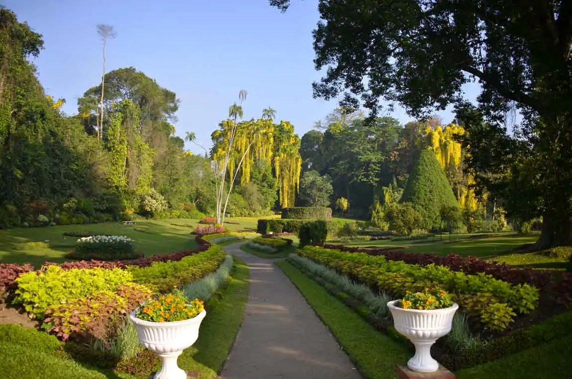 Peradeniya Botanical Garden